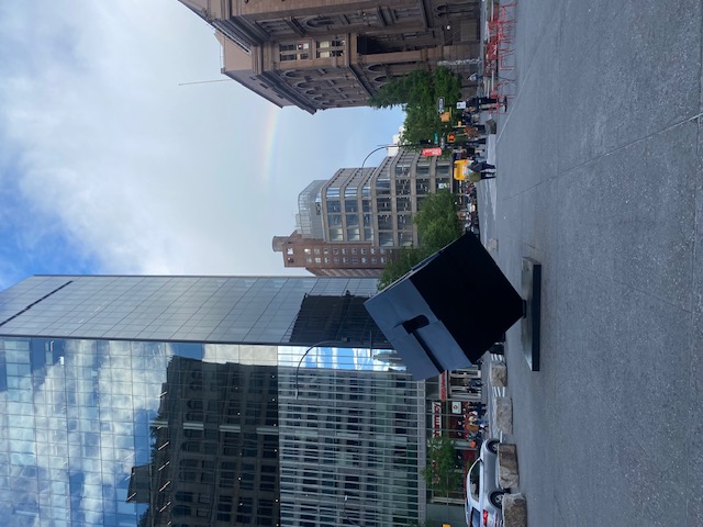 Rosie & Co. Illustration