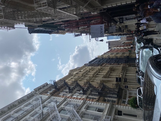 Rosie & Co. Illustration